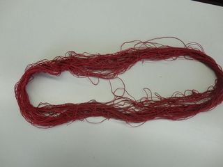 DSC03290.JPG