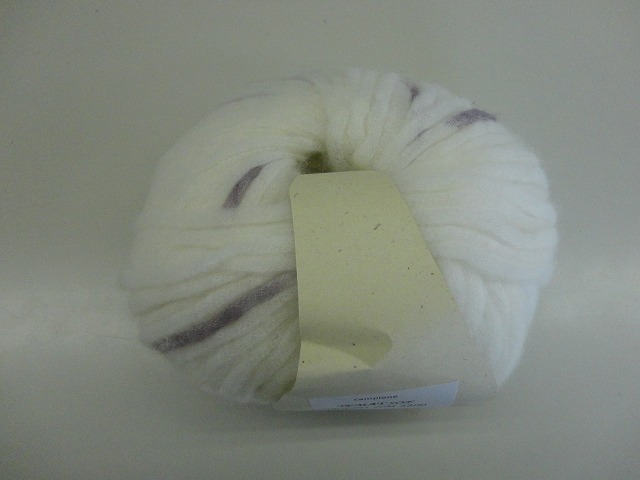 DSC04602.jpg