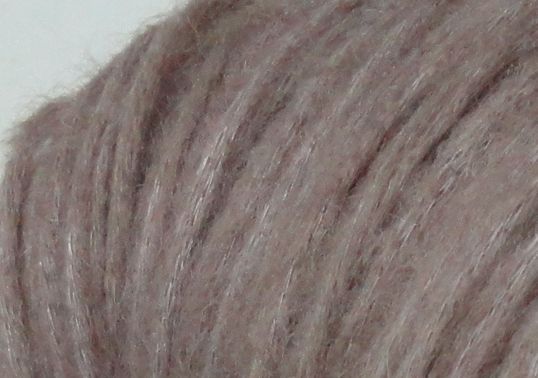 DSC05107 rs.jpg