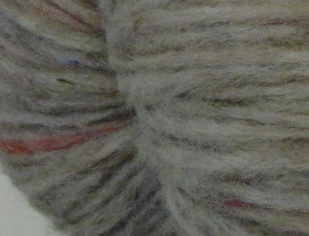 DSC05109 rs.jpg