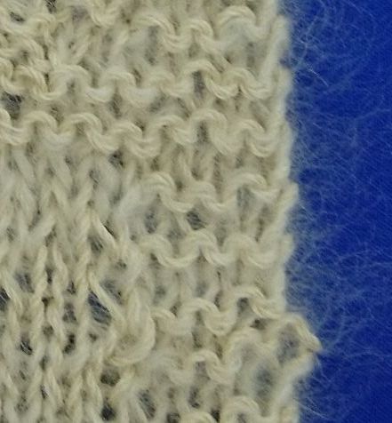 DSC_0646rs.jpg