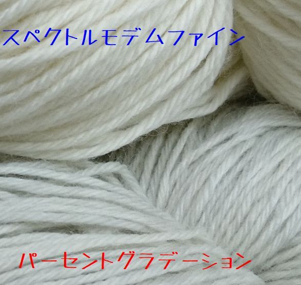 DSC_1137 rs.jpg