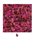 ダナエ編み地 5.png