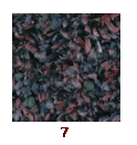 ダナエ編み地 7.png