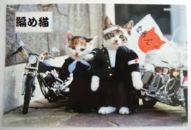 編め猫.jpg